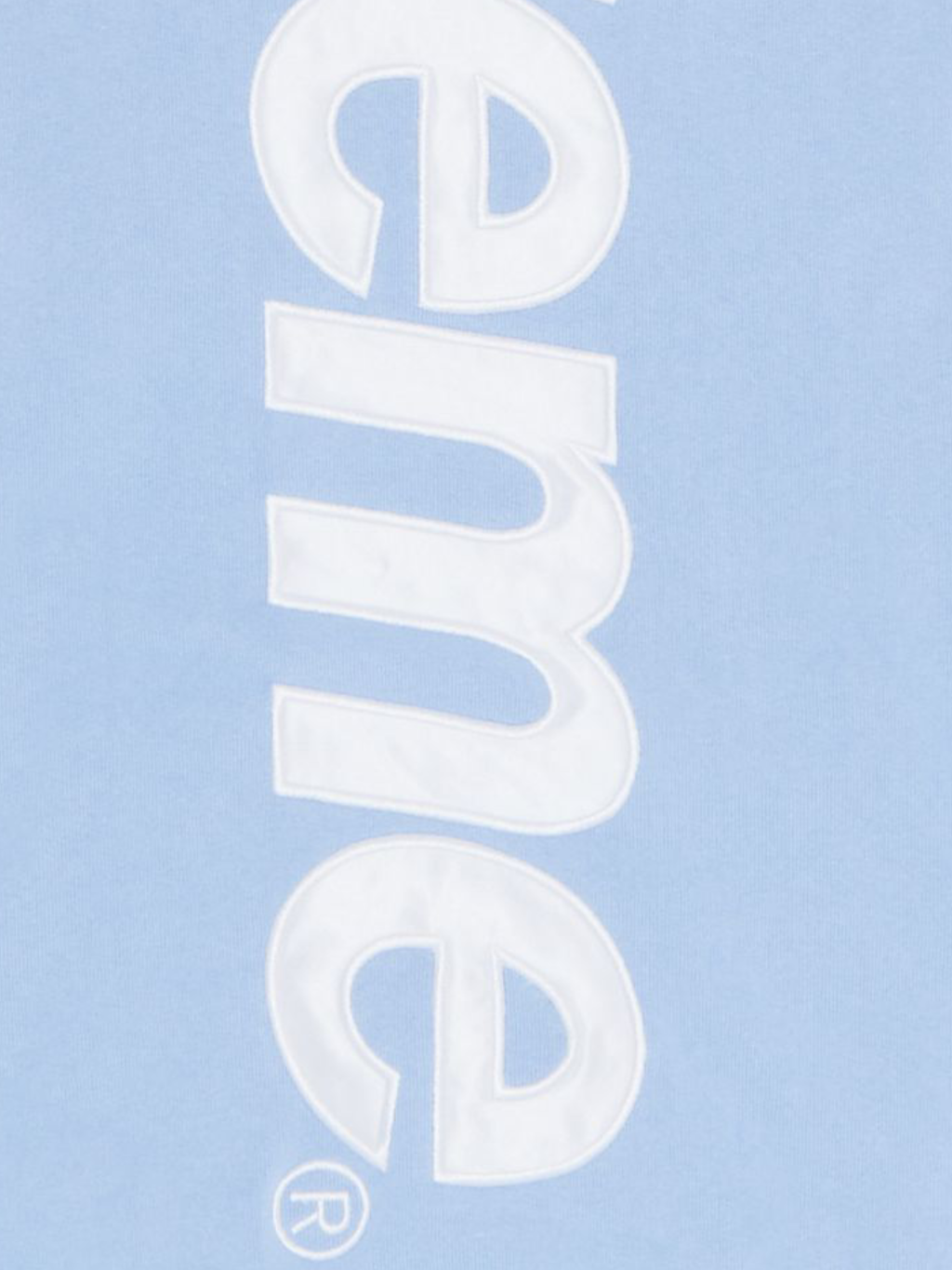 Supreme Satin Appliqué Hooded Sweatshirt 'Light Blue'